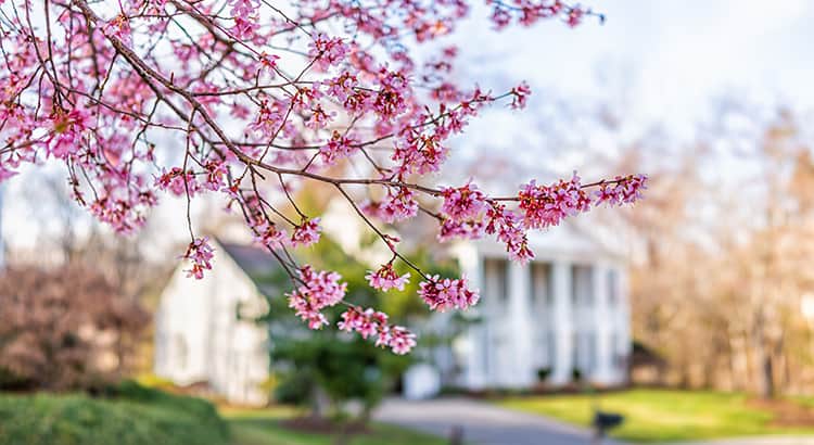 spring home sellers