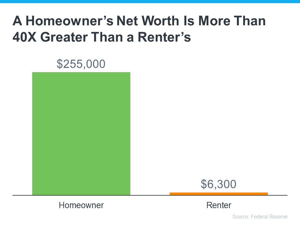 net worth of homeowner and renter